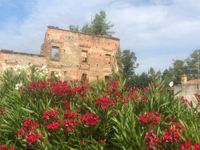 Antico Borgo Di Liteggio Bed & Breakfast Cologno al Serio Exterior photo